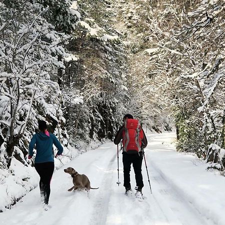 Edif. La Corona Daire El Pueyo de Jaca Dış mekan fotoğraf