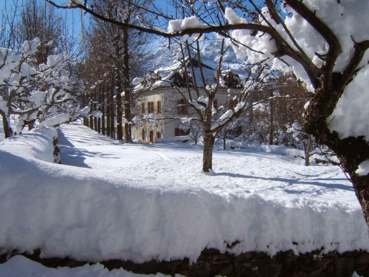 Edif. La Corona Daire El Pueyo de Jaca Dış mekan fotoğraf